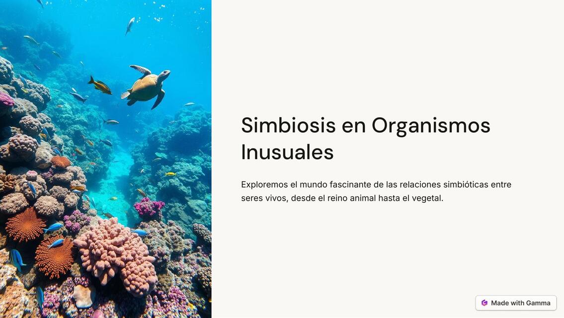 Simbiosis en Organismos Inusuales