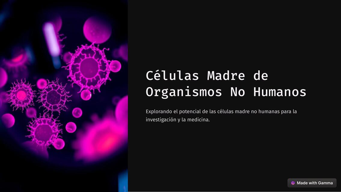 Celulas Madre de Organismos No Humanos