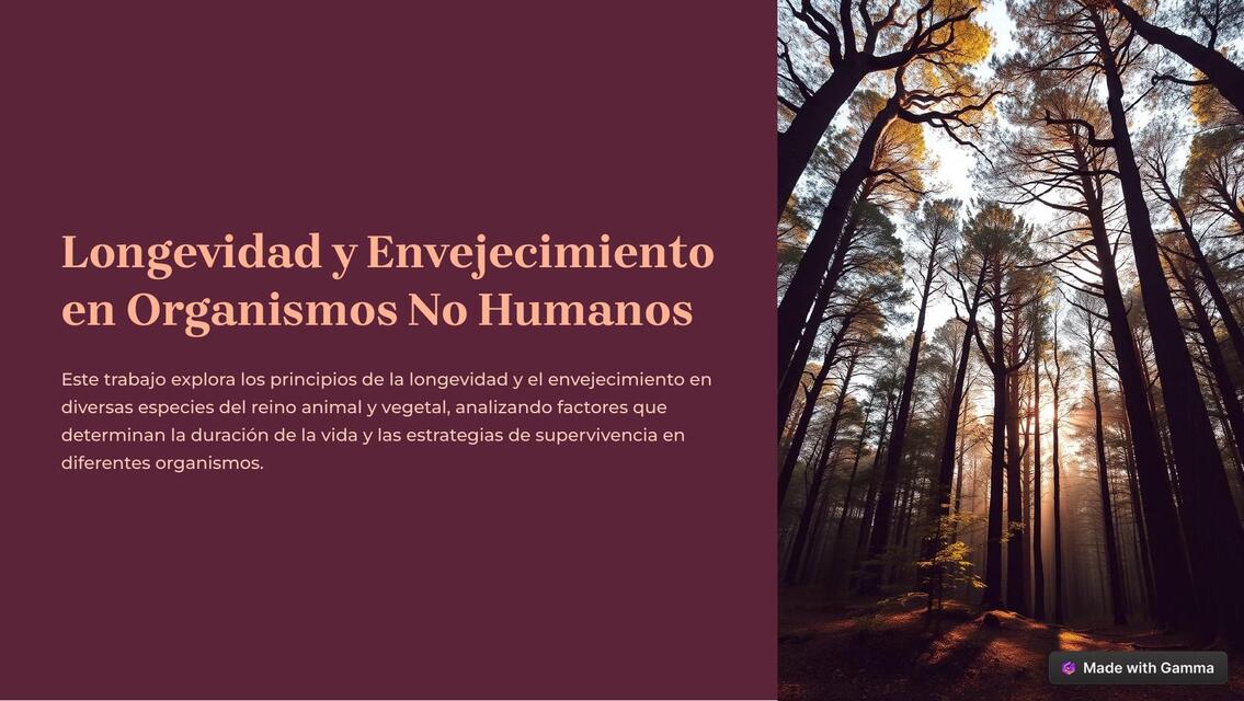 Longevidad y Envejecimiento en Organismos No Human