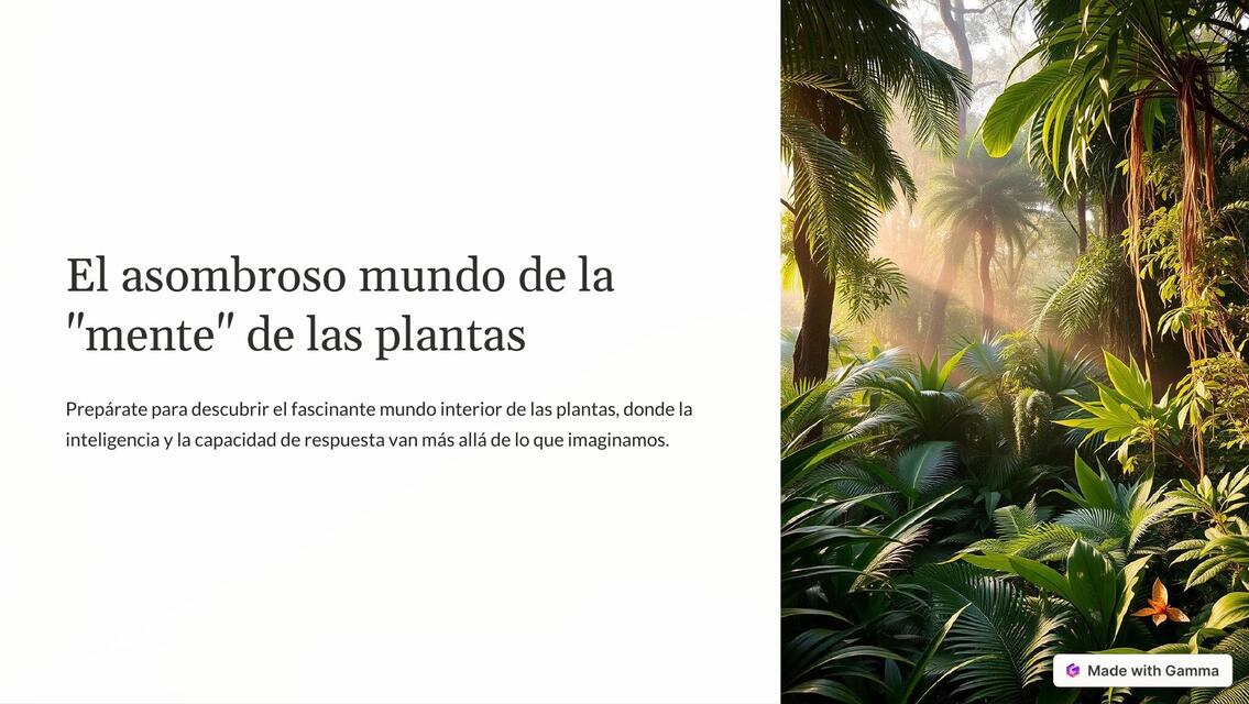 El asombroso mundo de la mente de las plantas