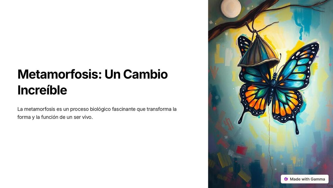 Metamorfosis Un Cambio Increible