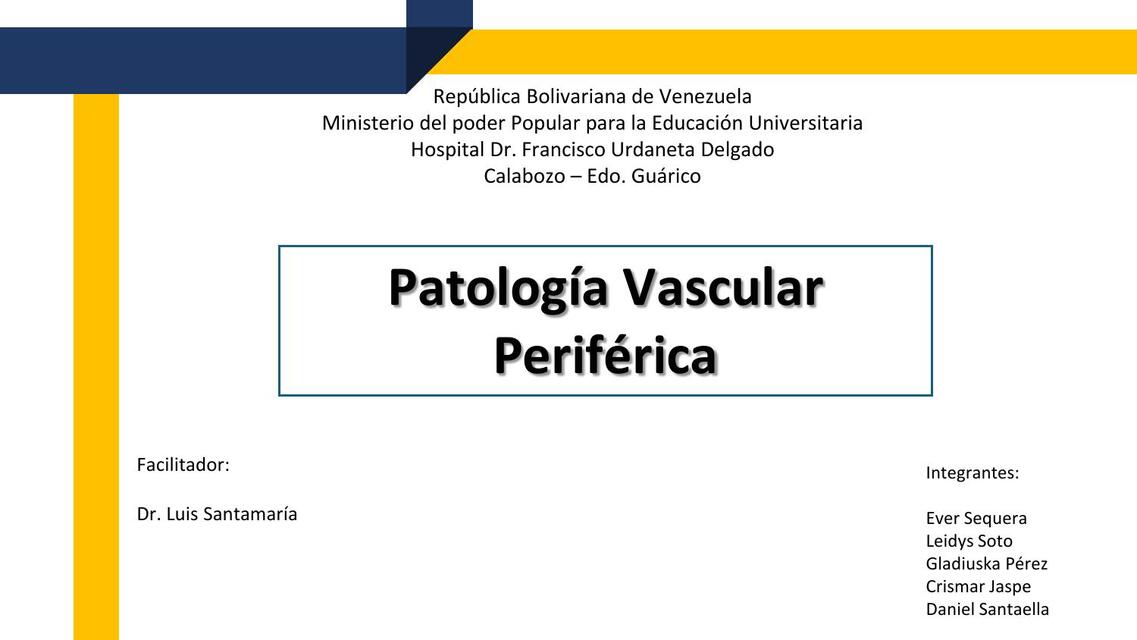 Patologías Vasculares