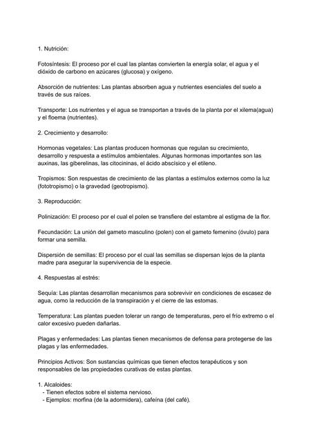 Documento sin título