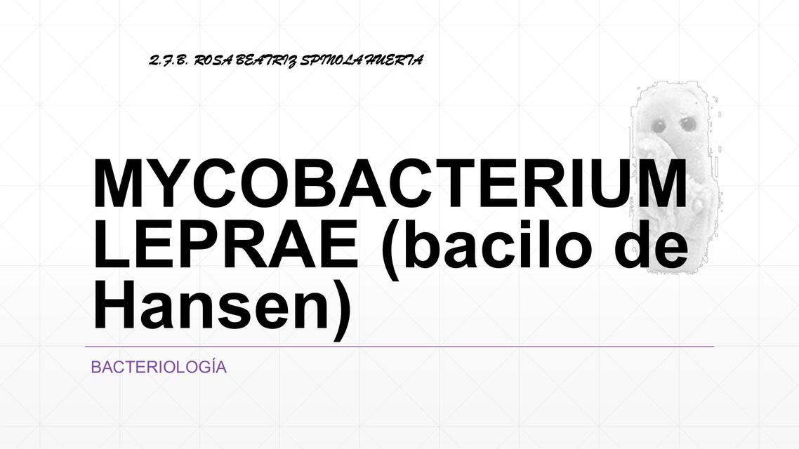 micobacterium leprae