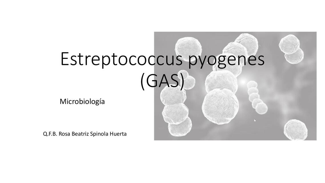 estreptococcus pyogenes