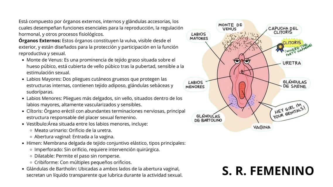 SISTEMA REPRODUCTOR FEMENINO