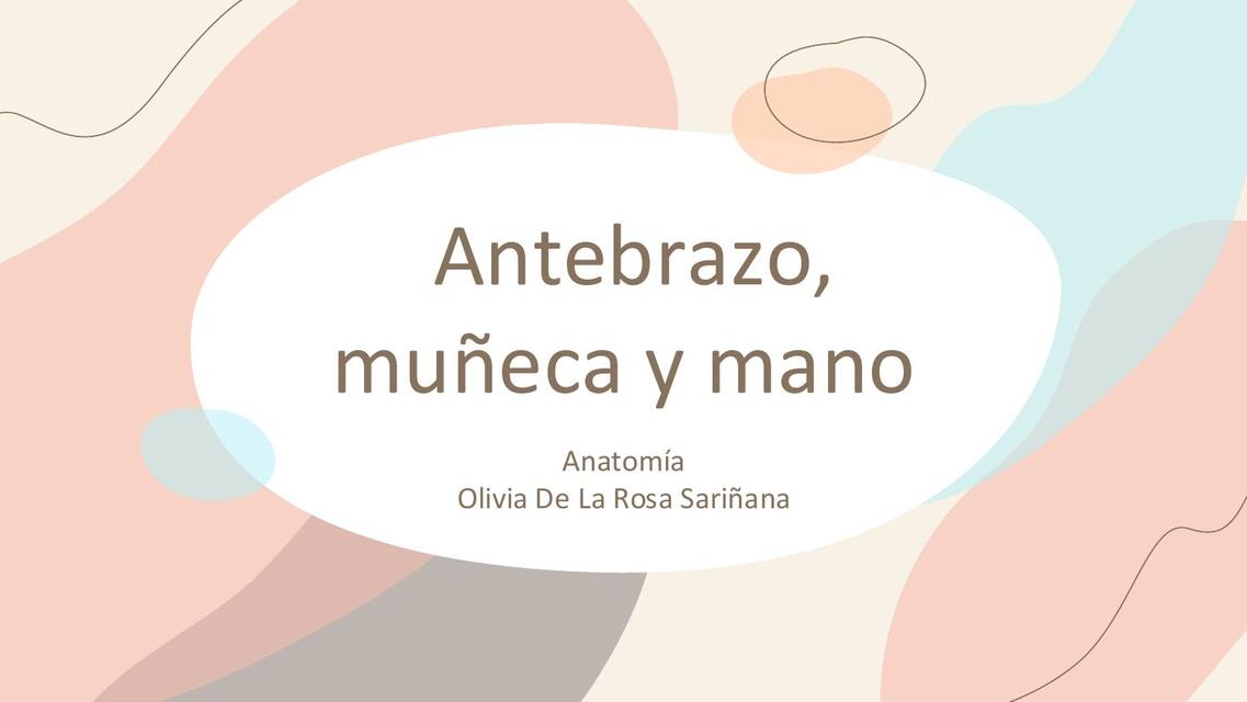 Antebrazo muneca mano | Melany Rivera | uDocz