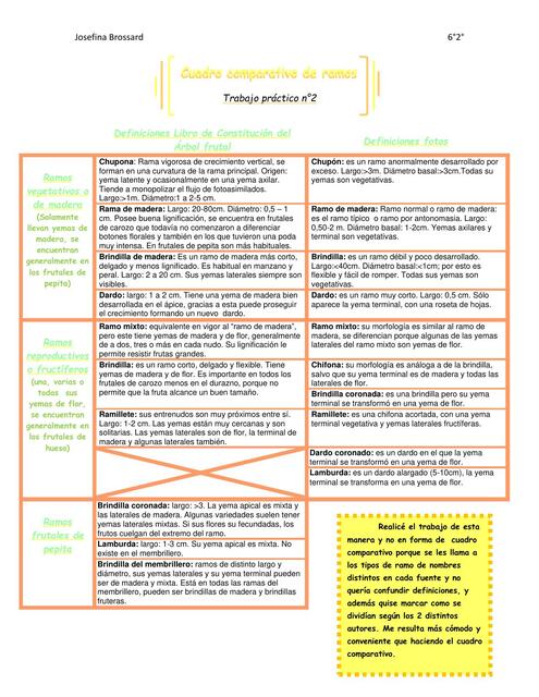 Comparación de definiciones de ramos Josefina Bros