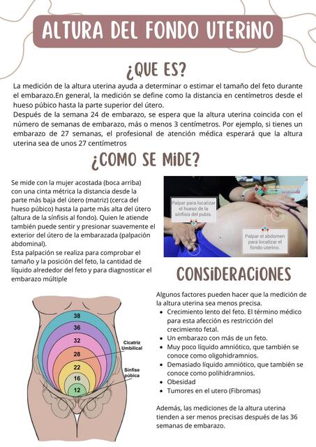 Fondo Uterino Zona Hipertrofica Y Maniobras De Leopord Santos 
