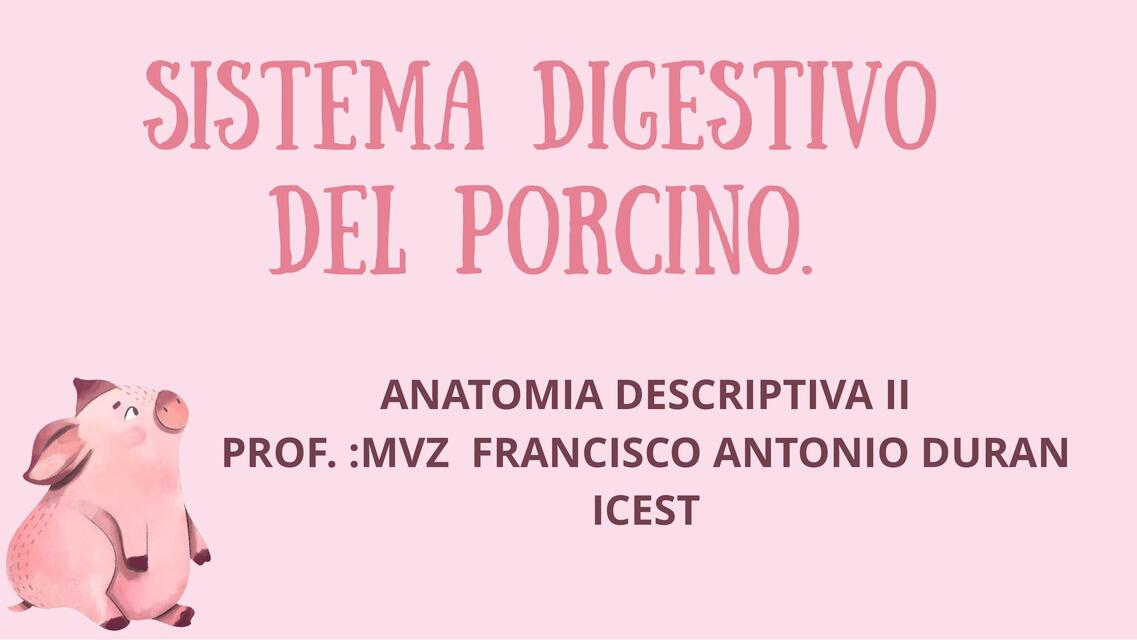 SISTEMA DIGESTIVO DEL CERDO