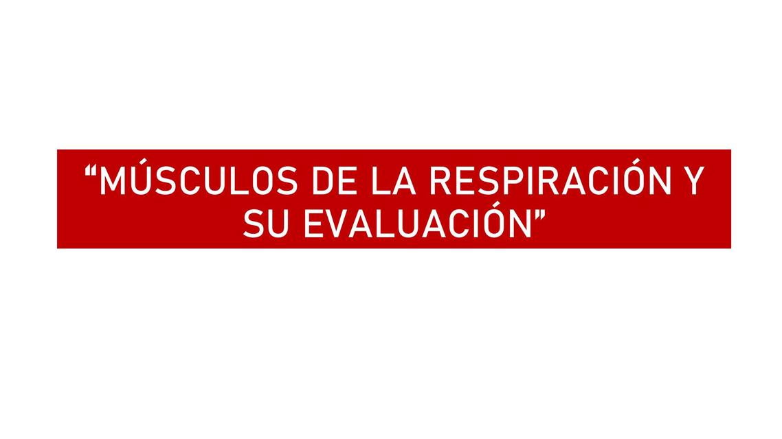 Músculos de la Respiración