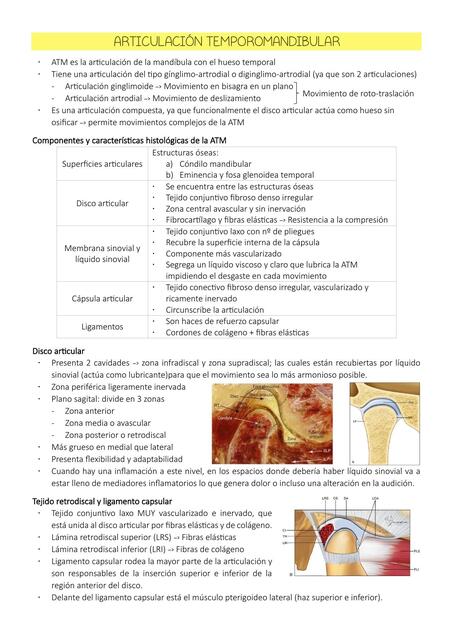 Articulación Temporomandibular