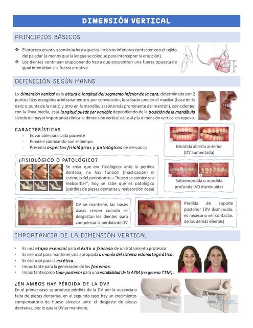 Dimensión Vertical