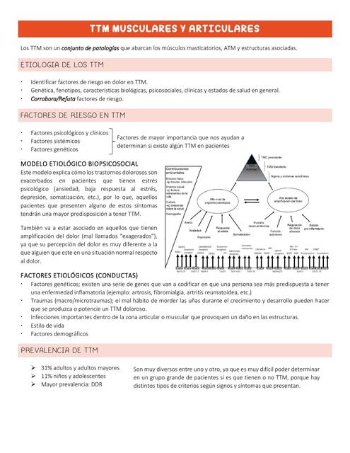 TTM musculares y articulares