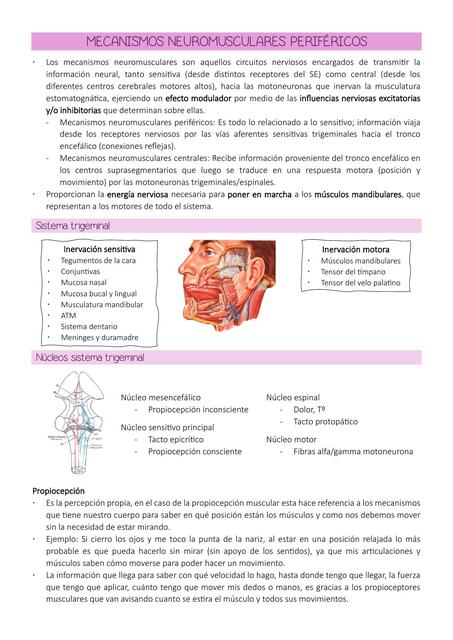 Mecanismos Neuromusculares Periféricos