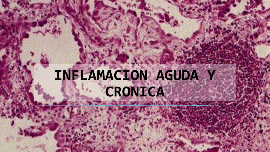 inflamacionagudaycronica