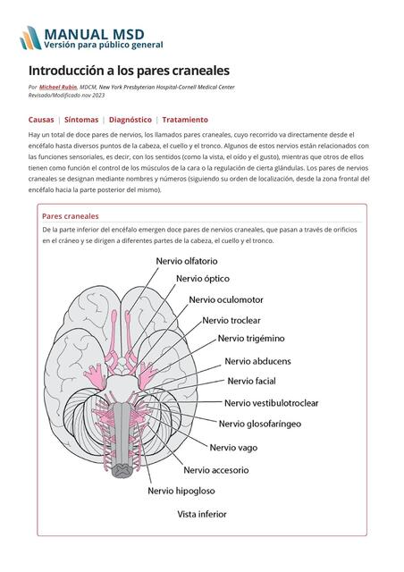 Introducción a los pares craneales