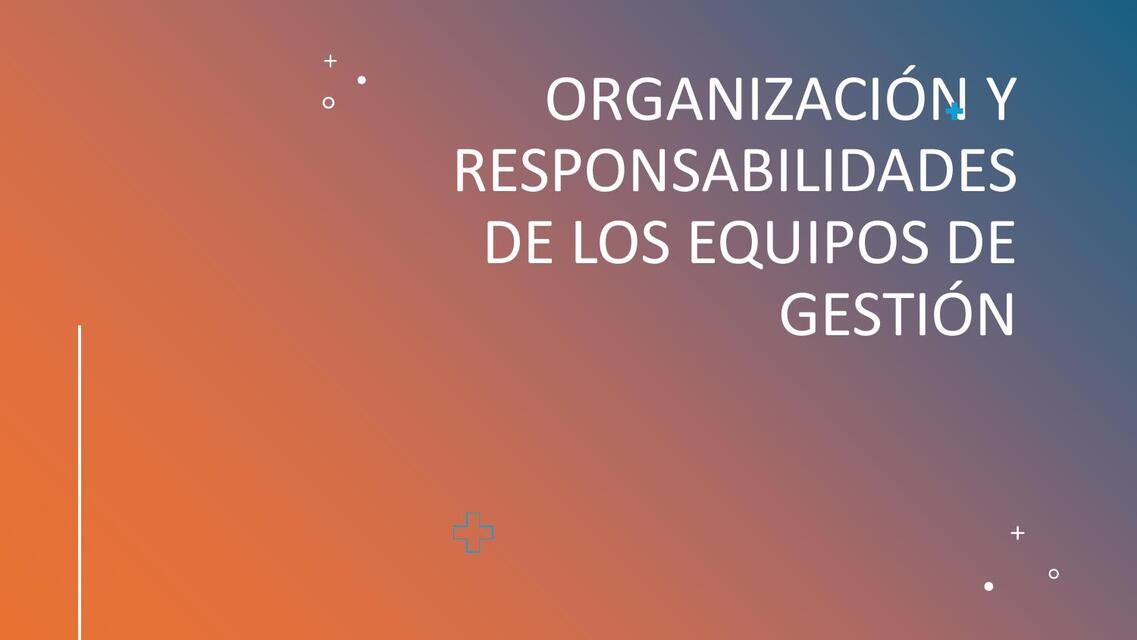 ORGANIZACIÓN Y RESPONSABILIDADES DE LOS EQUIPOS