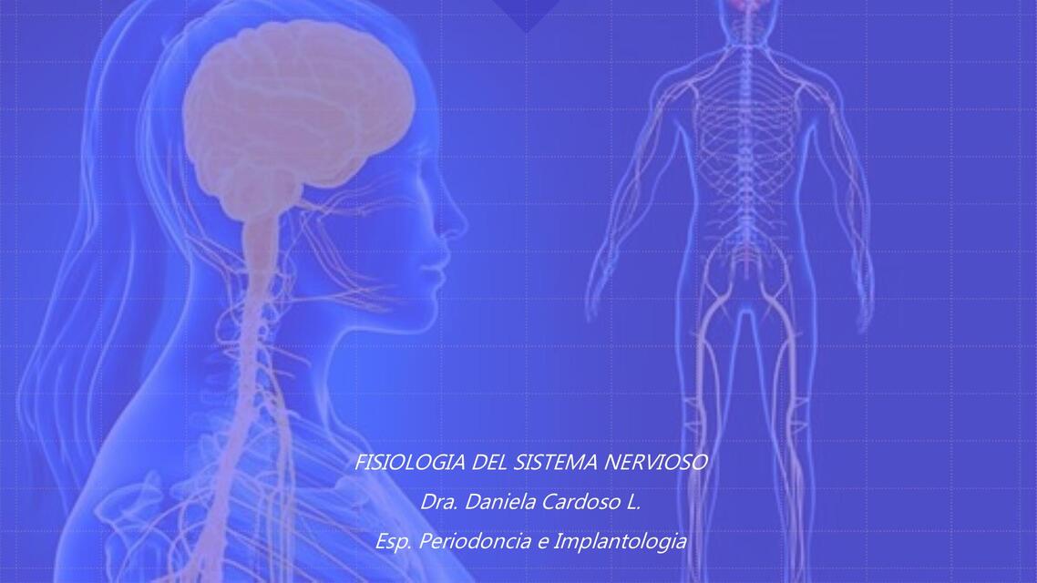 Fisiologia del sistema nervioso 1