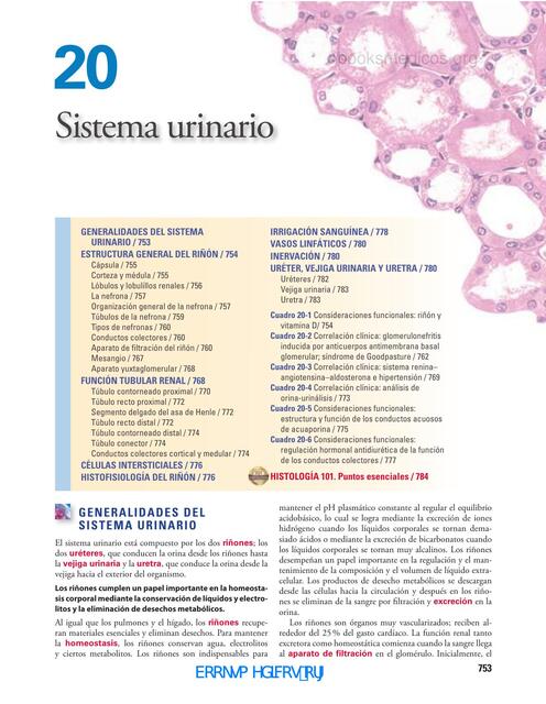 Histología del Sistema Urogenital Ross