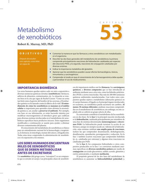 Metabolismo de xenobioticos