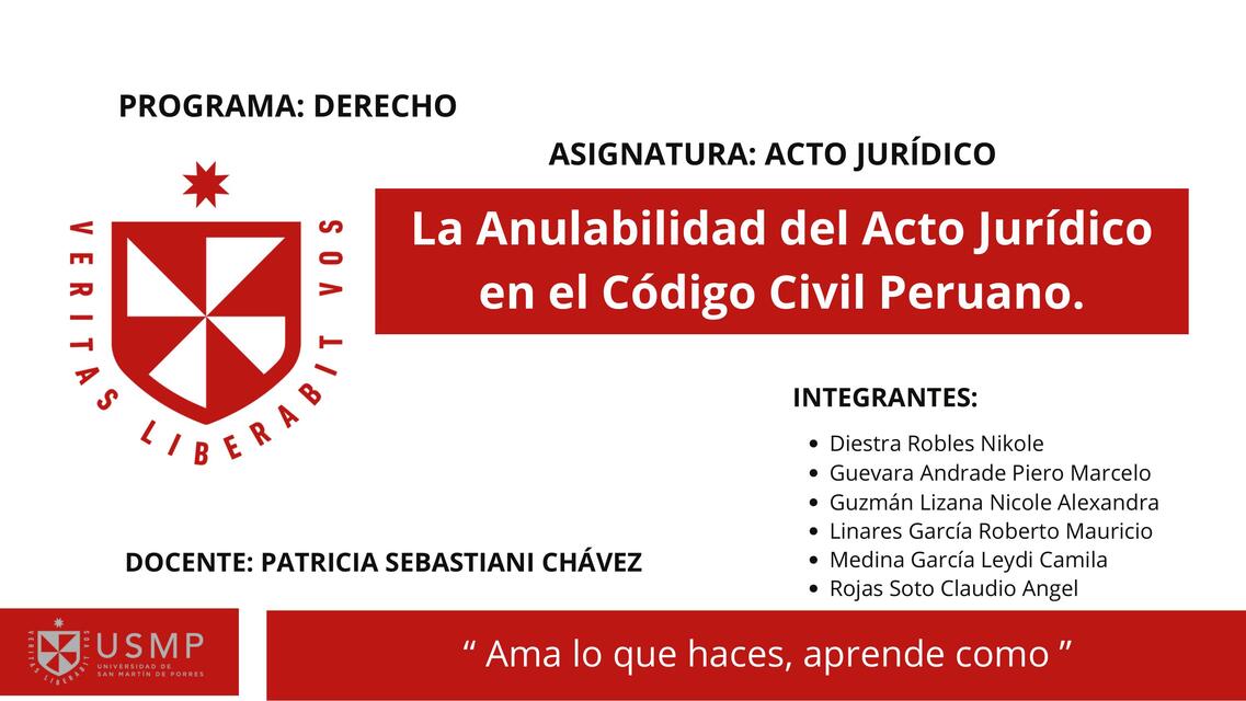 La anulabilidad del Acto Jurídico en el código civil peruano