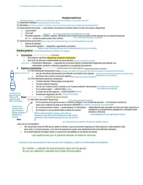 3 PRUEBAS GENÉTICAS RESUMEN 3