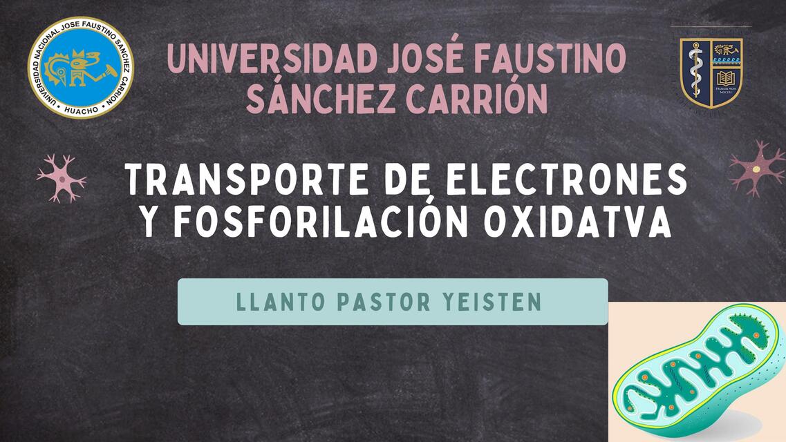 6 TRANSPORTE DE ELECTONES Y FOSFORILACIÓN OXIDATI