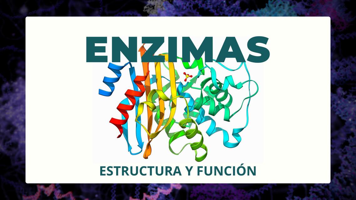 ENZIMAS