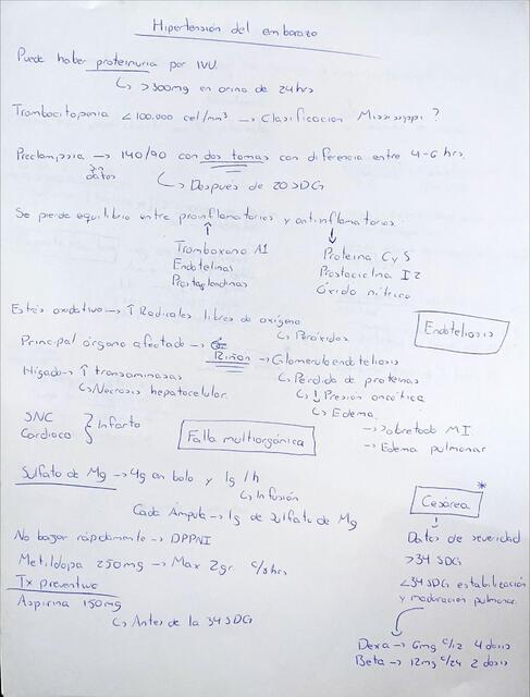 Notas rápidas Hipertensión en embarazo