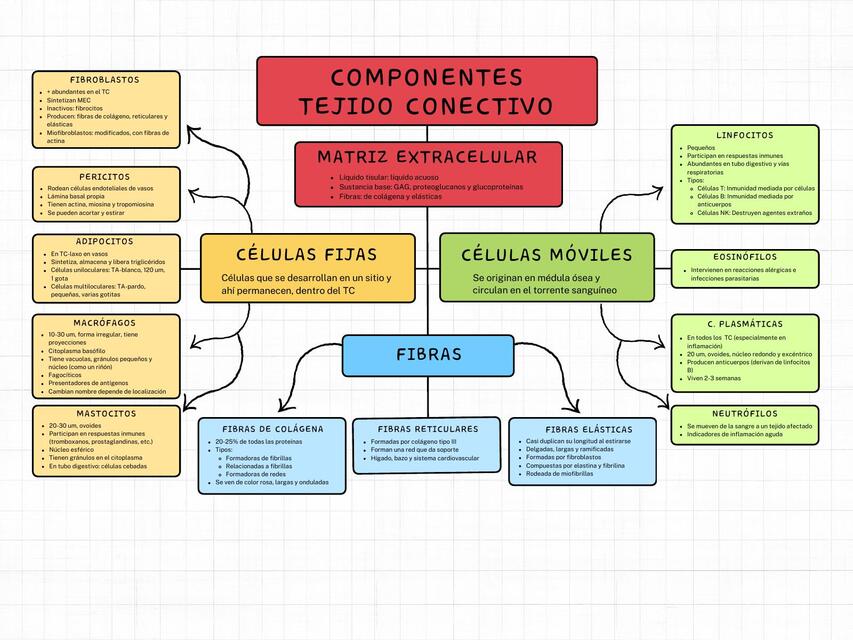 Tejido Conectivo