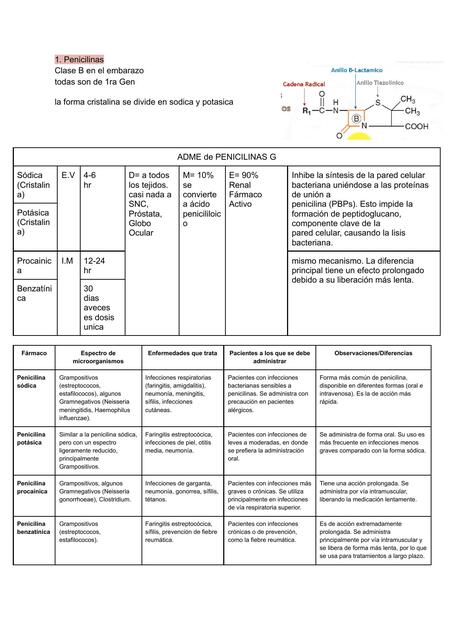 1er parcial farma