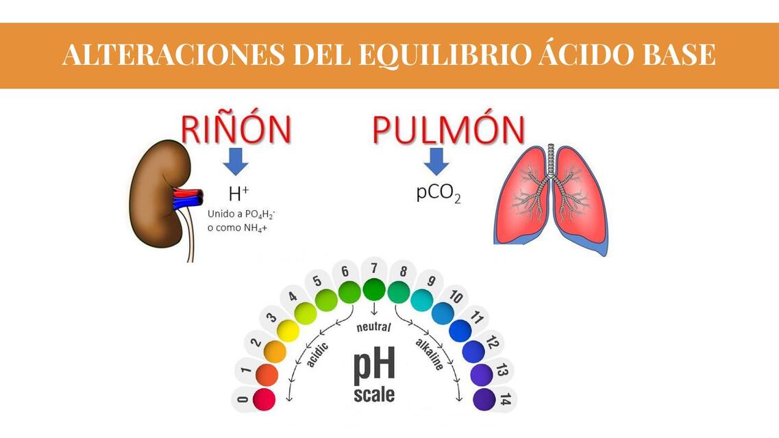 ALTERACIONES DEL EQUILIBRIO ÁCIDO BASE