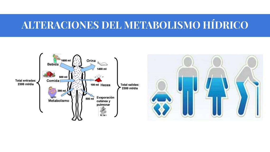 ALTERACIONES DEL METABOLISMO HÍDRICO