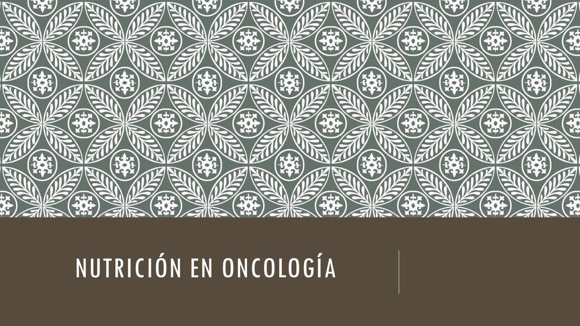 Nutricion Paciente Oncologico