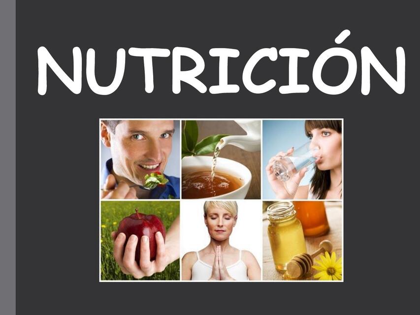 Nutricion