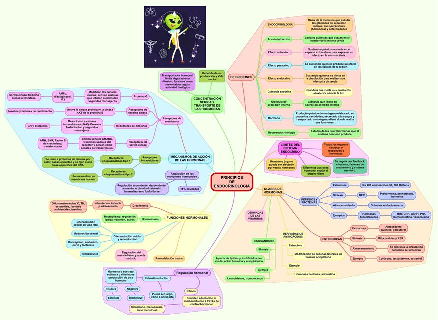 PRINCIPIOS DE ENDOCRINOLOGIA