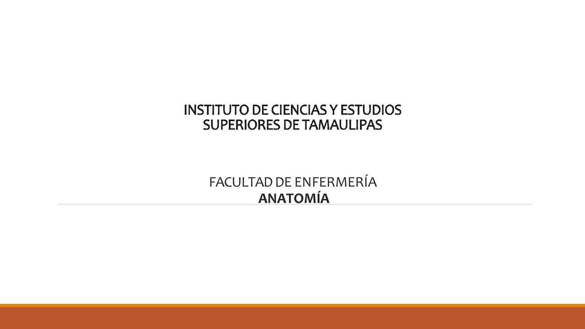 Anatomia 1