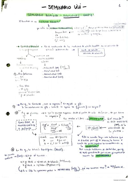 BIOFISICA-Seminario de soluciones y pH (Lili)