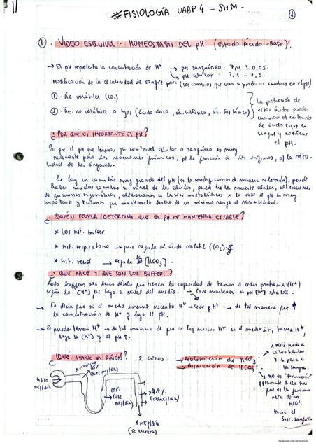 FISIOLOGIA - Homeostasis del pH uabp4 (clase Dr. Esquivel)