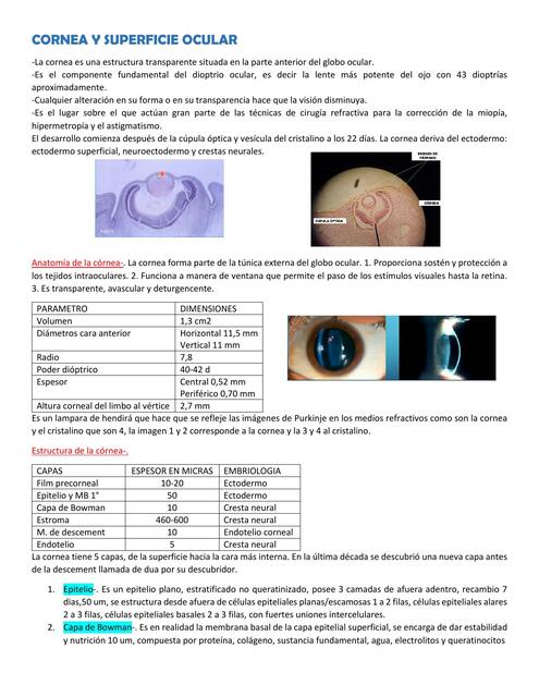 CORNEA Y SUPERFICIE OCULAR