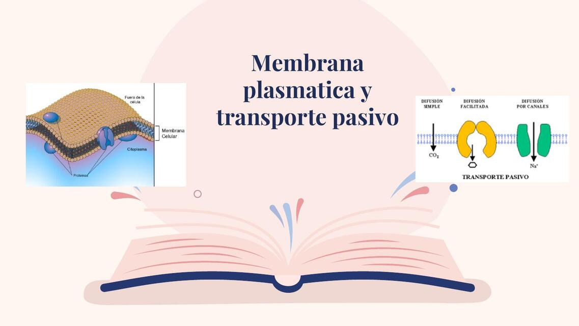 Membrana plasmatica y transporte pasivo