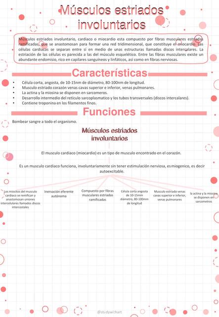 11 2 Estriado involuntario