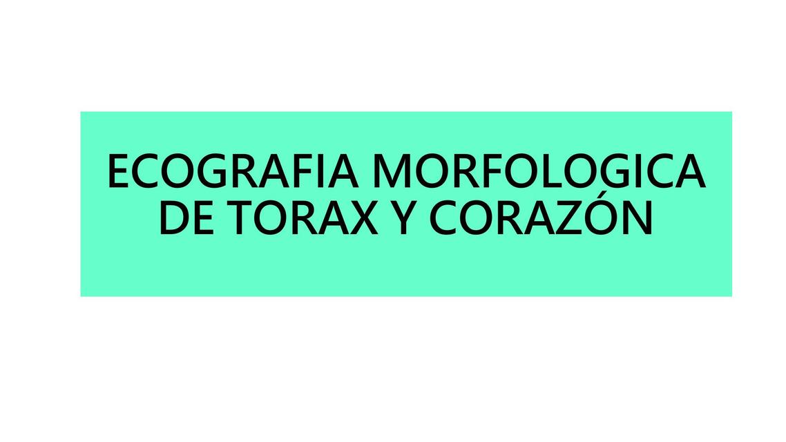 Ecografía de corazón y Torax