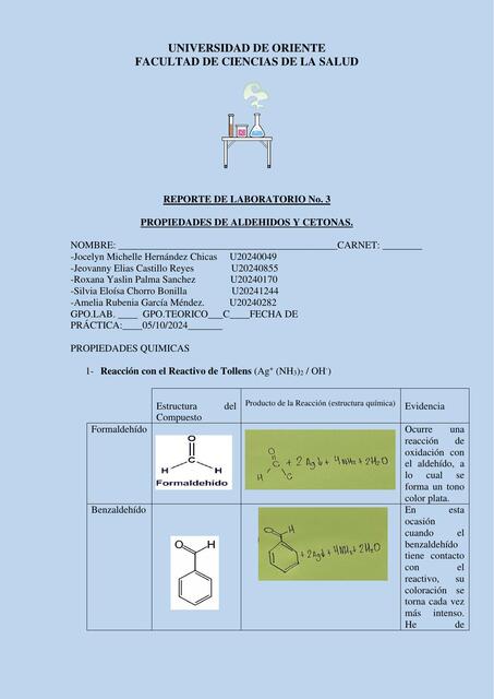 FORMATO DE REPORTE N3 3