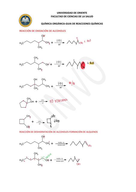 GUIA DE REACCIONES QUIMICA UNIDAD 3 3