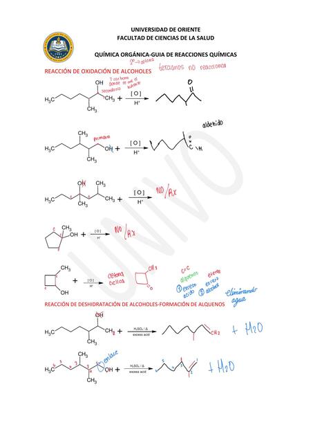 GUIA DE REACCIONES QUIMICA UNIDAD 3