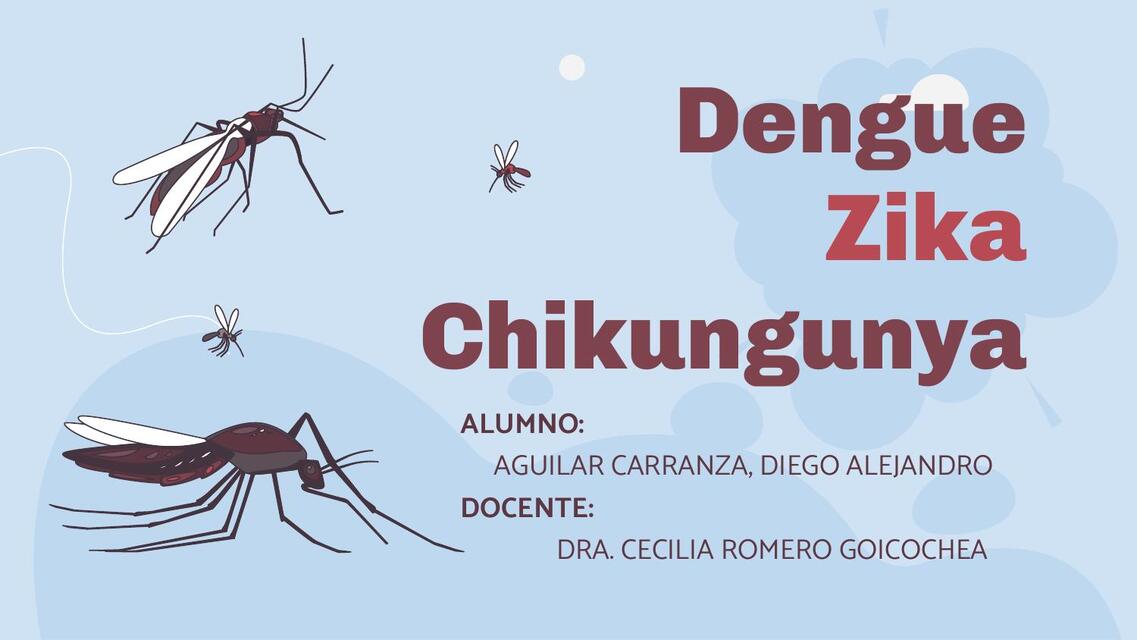 ARBOVIROSIS (DENGUE, ZIKA Y CHINKUNGUNYA)