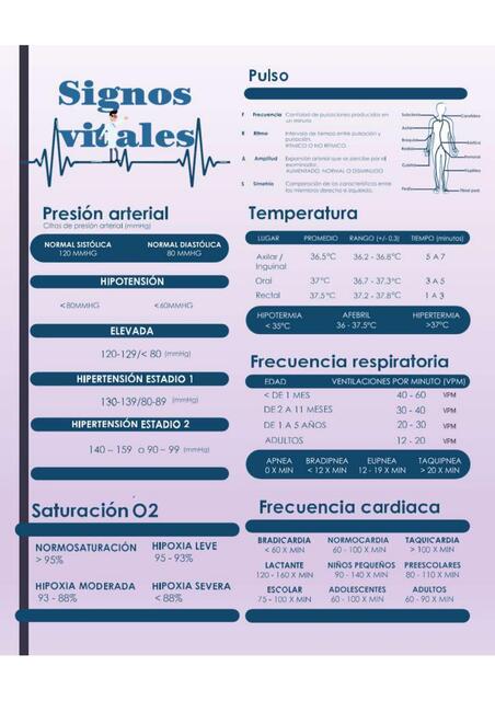 INFOGRAFIA SIGNOS VITALES