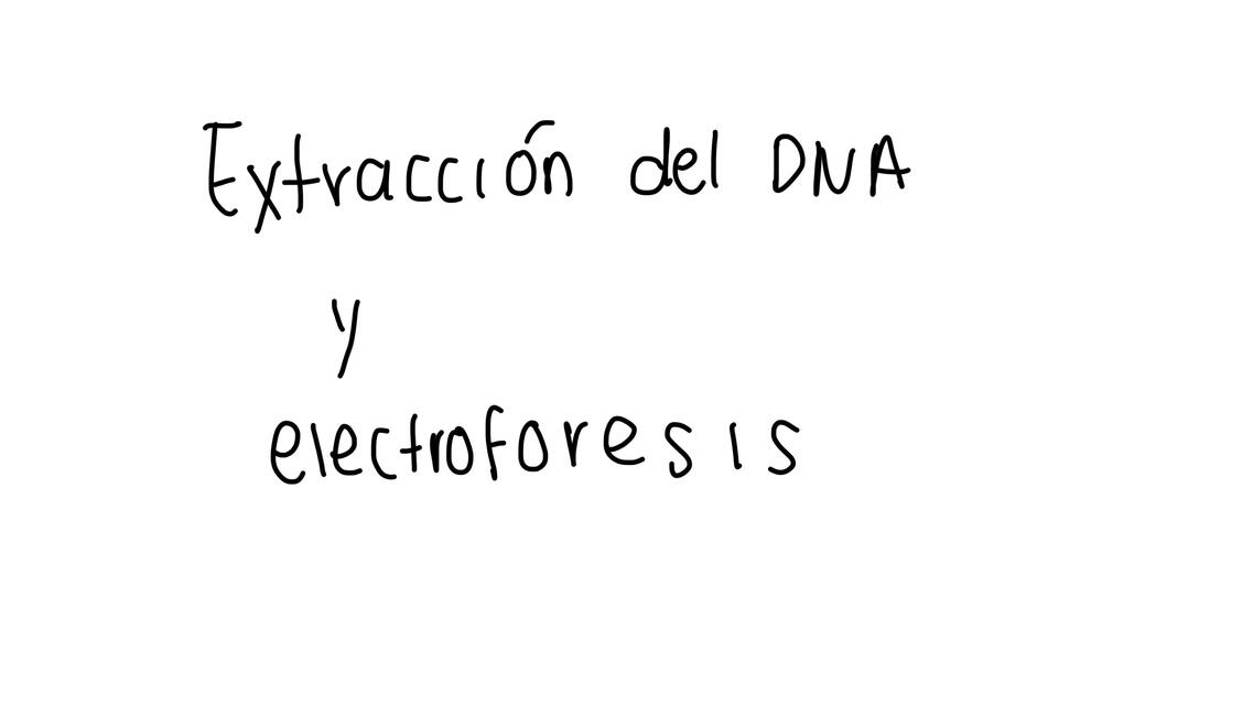 Extracción del ADN y Electroforesis